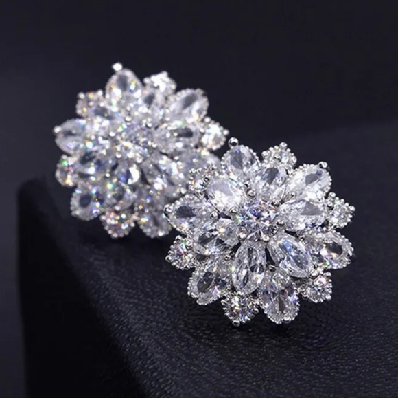 Wedding Season Earrings - Picture 1 of 4